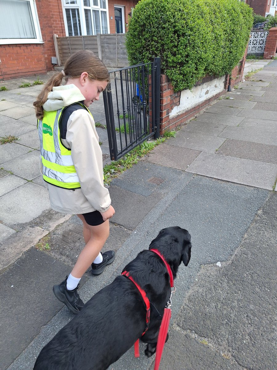 Robbie Richards (@robbie_inspire) on Twitter photo 🐾 🚶♀️ Little geography walk with my Year 4 friends 🚶♀️🐾 <a href="/Inspire_Ashton/">Inspire Academy</a> <a href="/MrsOgden_4A/">Mrs Ogden</a> <a href="/Geog_Inspire/">Geography Inspire</a> 🐾 🚶♀️ Little geography walk with my Year 4 friends 🚶♀️🐾 <a href="/Inspire_Ashton/">Inspire Academy</a> <a href="/MrsOgden_4A/">Mrs Ogden</a> <a href="/Geog_Inspire/">Geography Inspire</a>