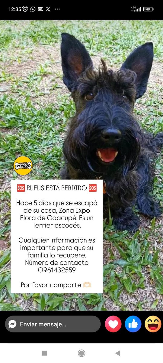 REPTZ (@ruthdemoab) on Twitter photo 