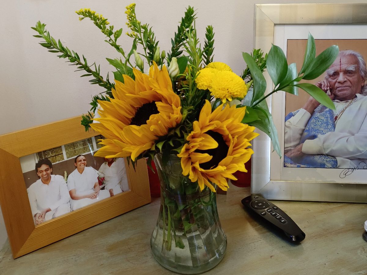 Knees, Summer and more.... - mailchi.mp/b5dd646dd94e/l…