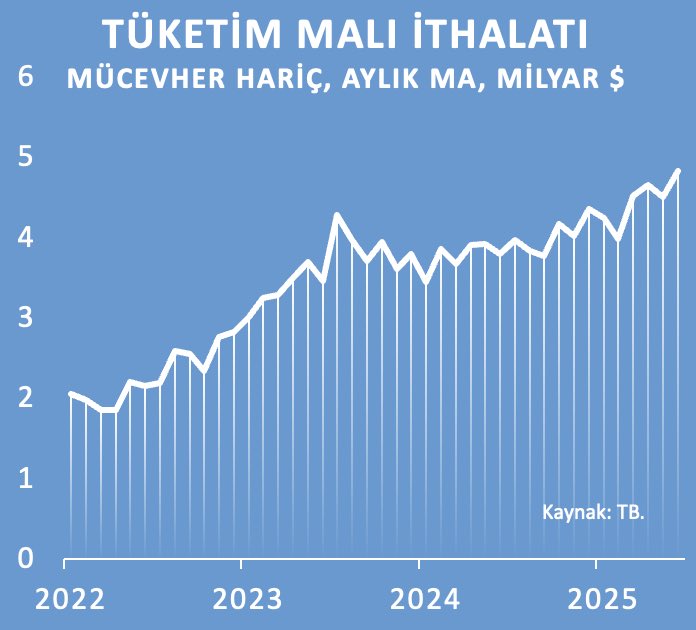 Para ve kredi politikası sıkıyken tüketim malı ithalatı rekor kırmaya devam ediyorsa büyük ihtimalle paranız reel olarak değerlidir.
