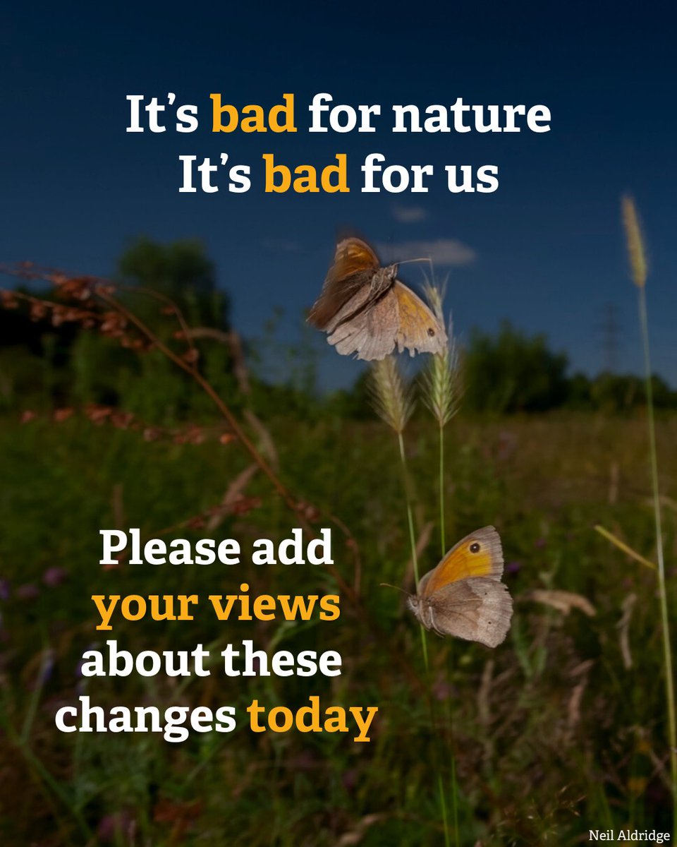 ❌ We’ve had enough of broken promises. Now the Govt wants to weaken Biodiversity Net Gain rules - threatening habitats across England. ❌

🛑 We must stop this.
✍️ Speak up for nature 👇
🔗kentwildlifetrust.org.uk/campaigns/biod…

#DefendNature #BNG #WilderKent
