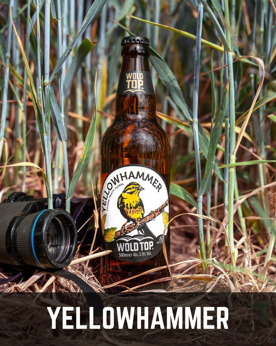 Re-introducing Yellow Hammer, our golden summer ale packed with sweet marmalade &amp; apricot notes, plus fresh bread aromas that deliver a crisp, grassy finish. Perfect for those long summer days! &gt;bit.ly/BuyWTOnline
#YellowHammerAle #WoldTopBrewery #GlutenFreeBeer #VeganBeer