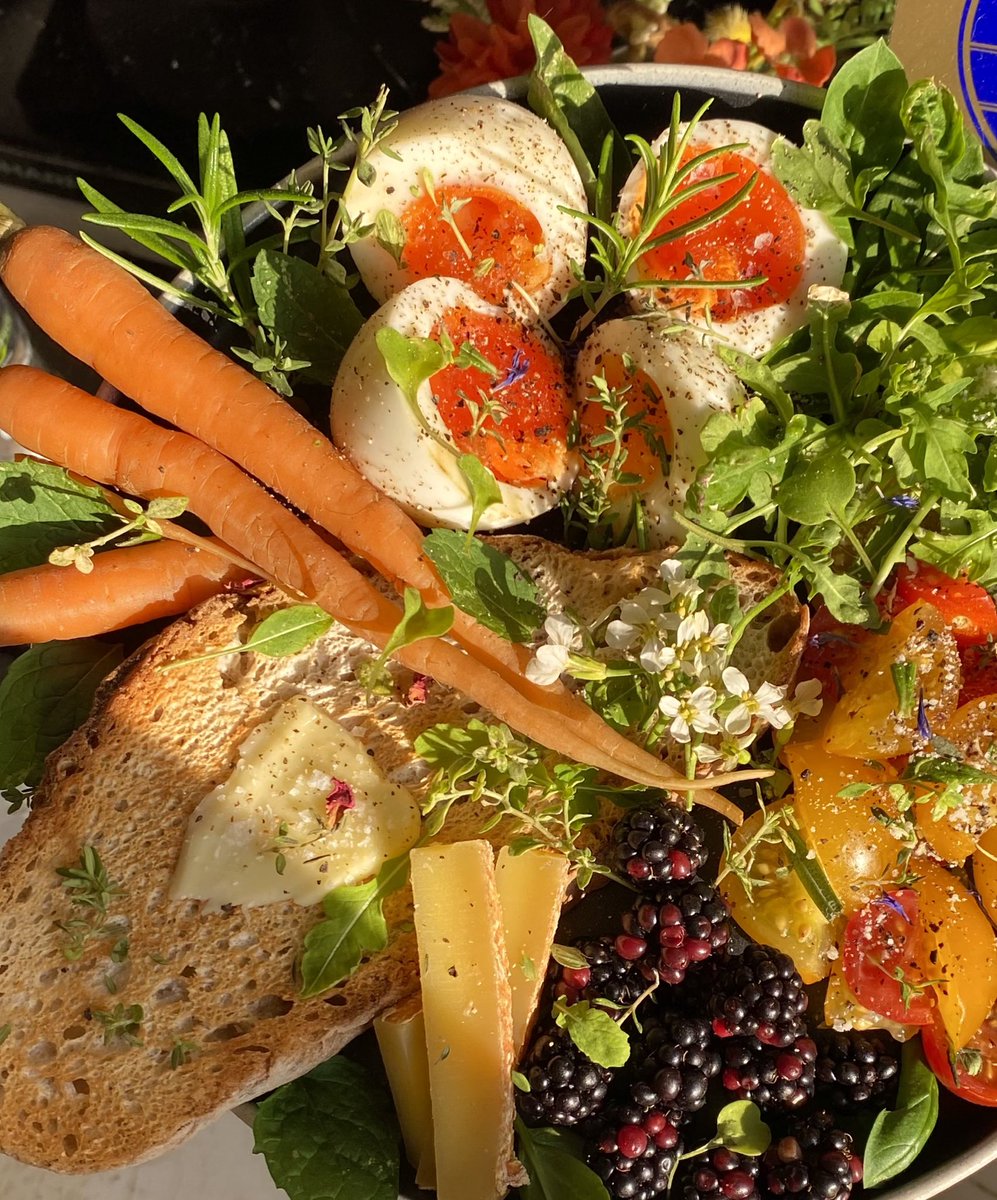 crystallisedfig's tweet image. Lunch plate with blackberries foraged from my morning walk and greens from my garden