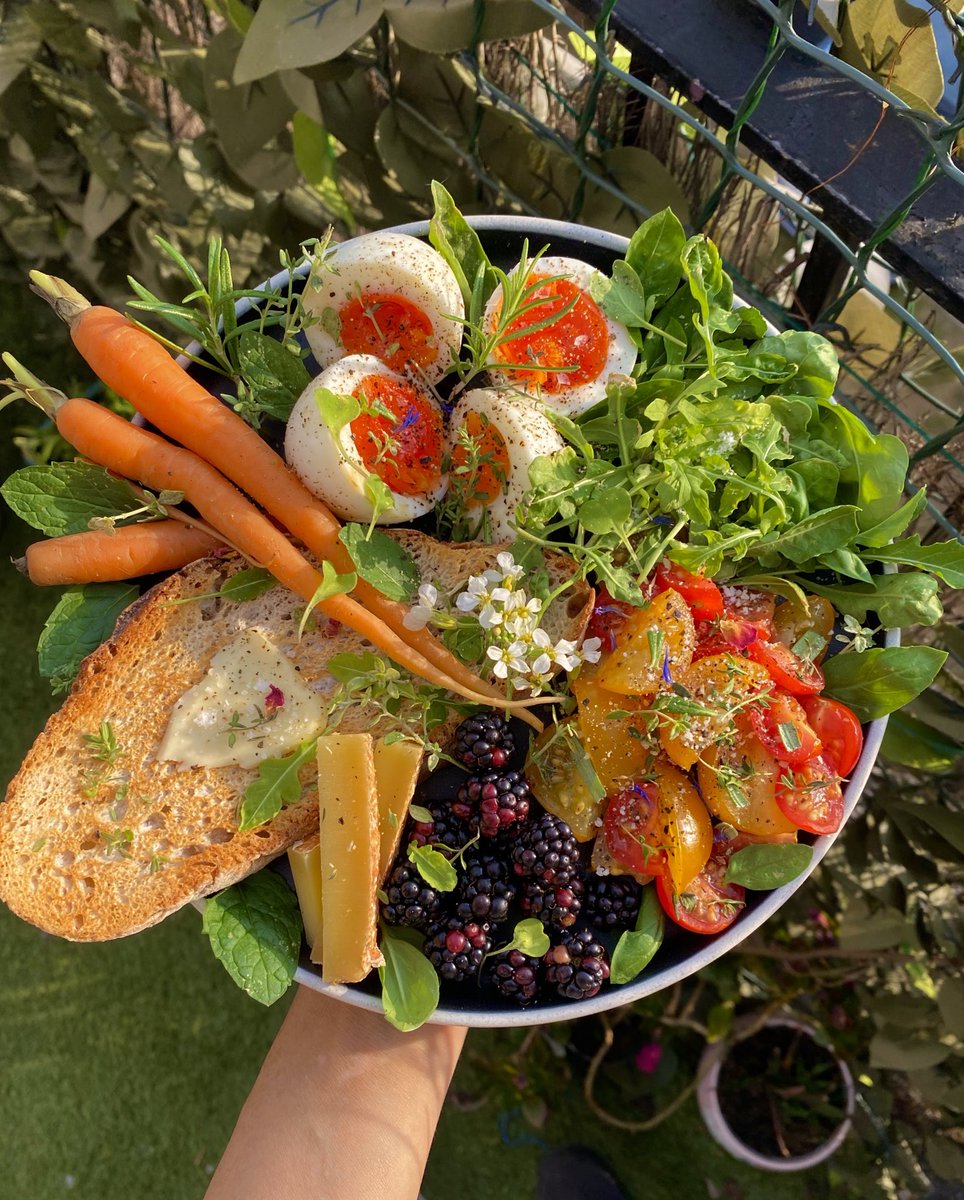 crystallisedfig's tweet image. Lunch plate with blackberries foraged from my morning walk and greens from my garden