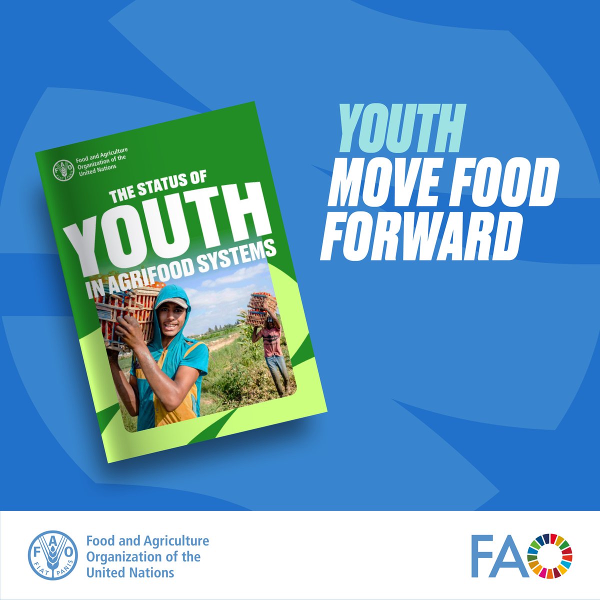 Youth need agrifood systems &amp; agrifood systems need youth! 👩🏼‍🌾🌾

@‌FAO's new report dives into how youth are shaping, challenging, and transforming agrifood systems.

Download it to discover why we must invest in the young generation to #MoveFoodForward 👉🏽 bit.ly/3Tnva5B
