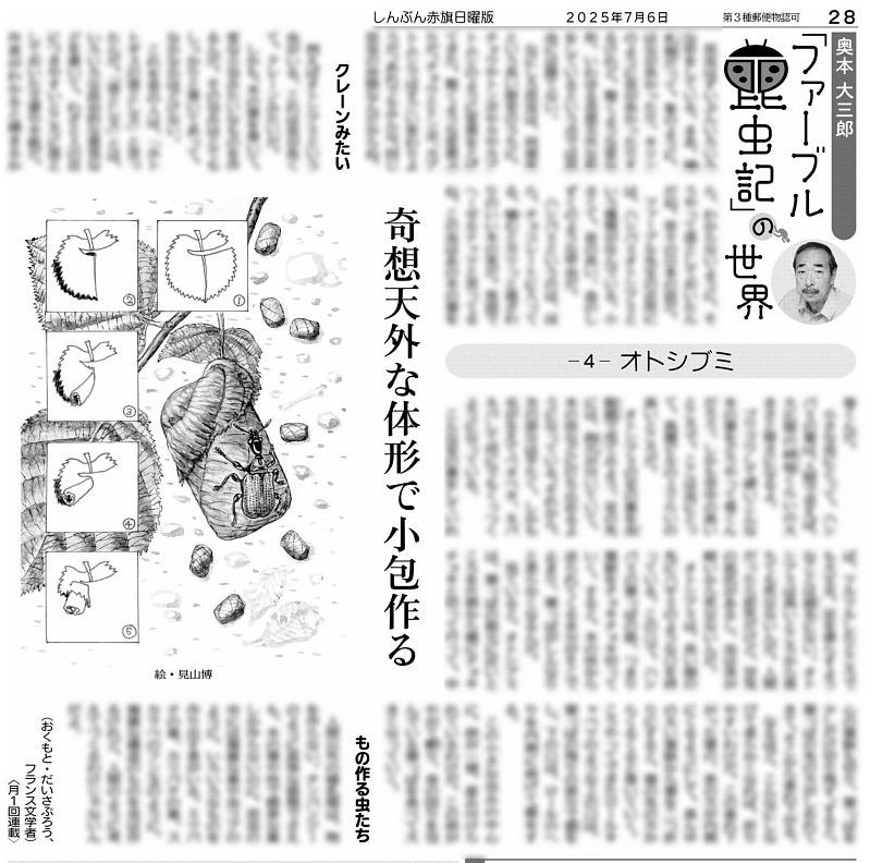 しんぶん赤旗日曜版 on X: 