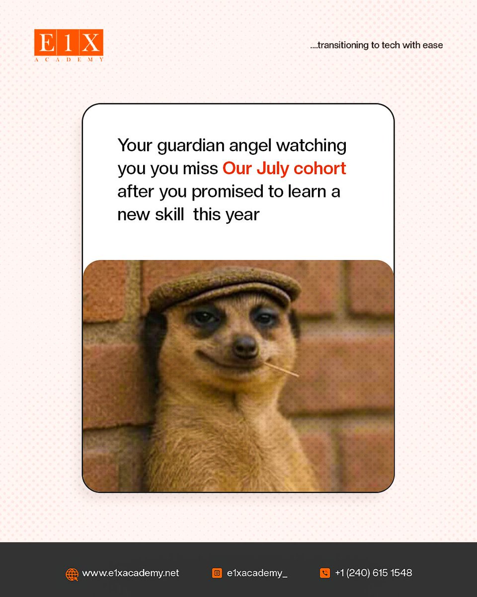 E1XAcademy's tweet image. Your guardian angel knows. You know. It's time to stop procrastinating! The E1X Academy July cohort is your chance to finally transition to tech with ease. Don't miss out on building the skills you need for the future.
#E1XAcademy #TechTransition #SkillUp