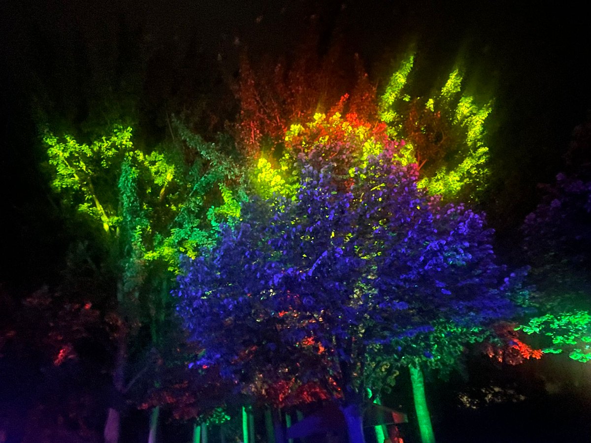 🌞 ¡Buenos días, #Parla!

Hoy arranca 𝑽𝒆𝒓𝒂𝒏𝒐 𝒆𝒏 𝒆𝒍 𝑩𝒐𝒕á𝒏𝒊𝒄𝒐 ✨🌿 y la Concejalía de <a href="/CulturaParla/">ParlaEsCultura</a> <a href="/GemaGmagt/">Gema</a>  ya están ultimando los detalles para que arranque uno de los eventos más esperados del verano.