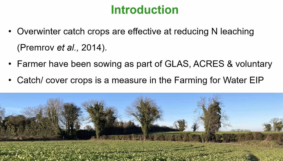 Teagasc Environment (@teagascenviron) on Twitter photo Thanks to <a href="/lyBRIDGET/">Bridget Lynch</a> on #TheSignpostWebinarSeries this morning update on Catch crops in the ACP catchment Castledockerell and the Farming for Water EIP Thanks to <a href="/lyBRIDGET/">Bridget Lynch</a> on #TheSignpostWebinarSeries this morning update on Catch crops in the ACP catchment Castledockerell and the Farming for Water EIP