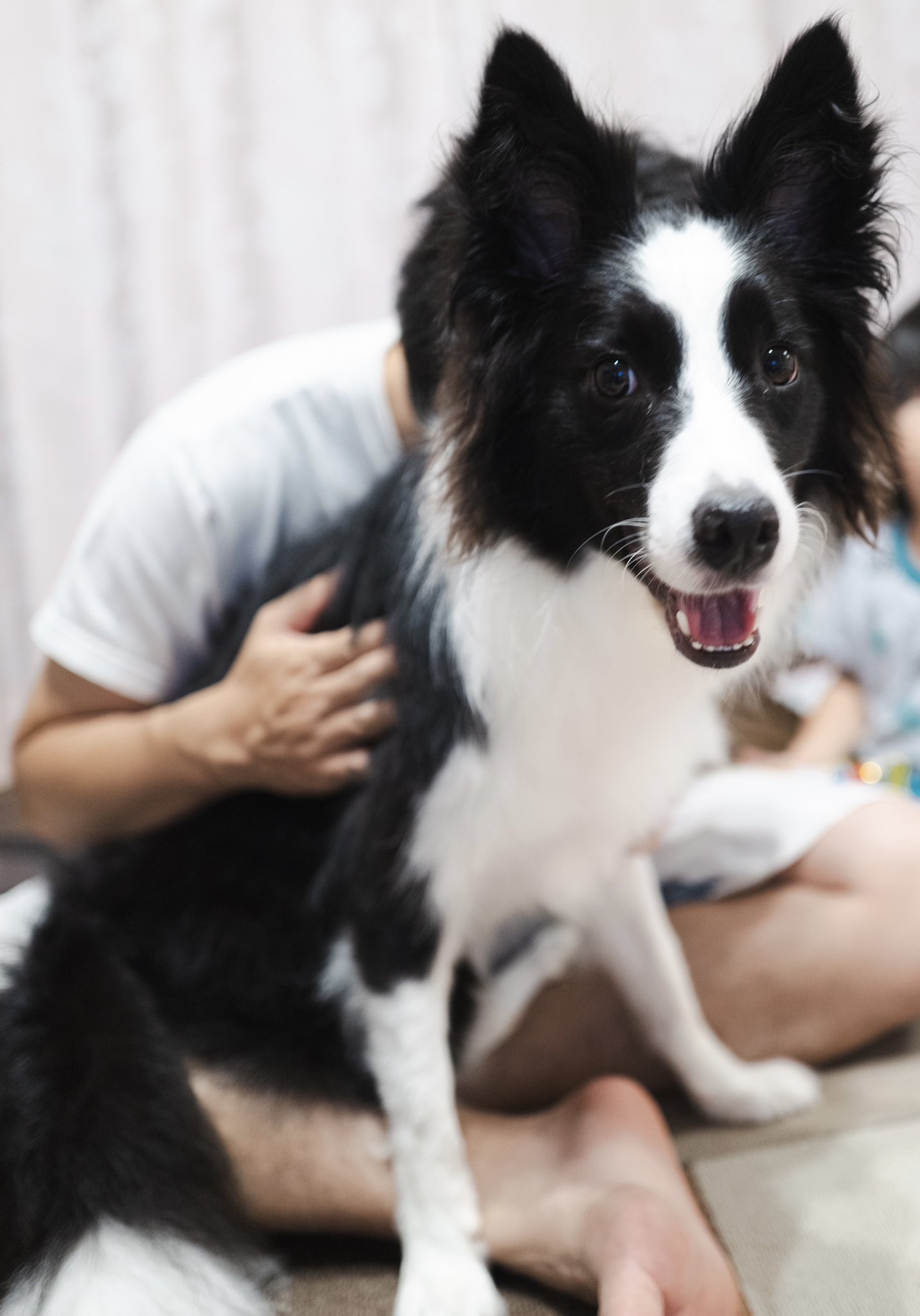 エマ/Emma🐾 (@emma_bc410) / X