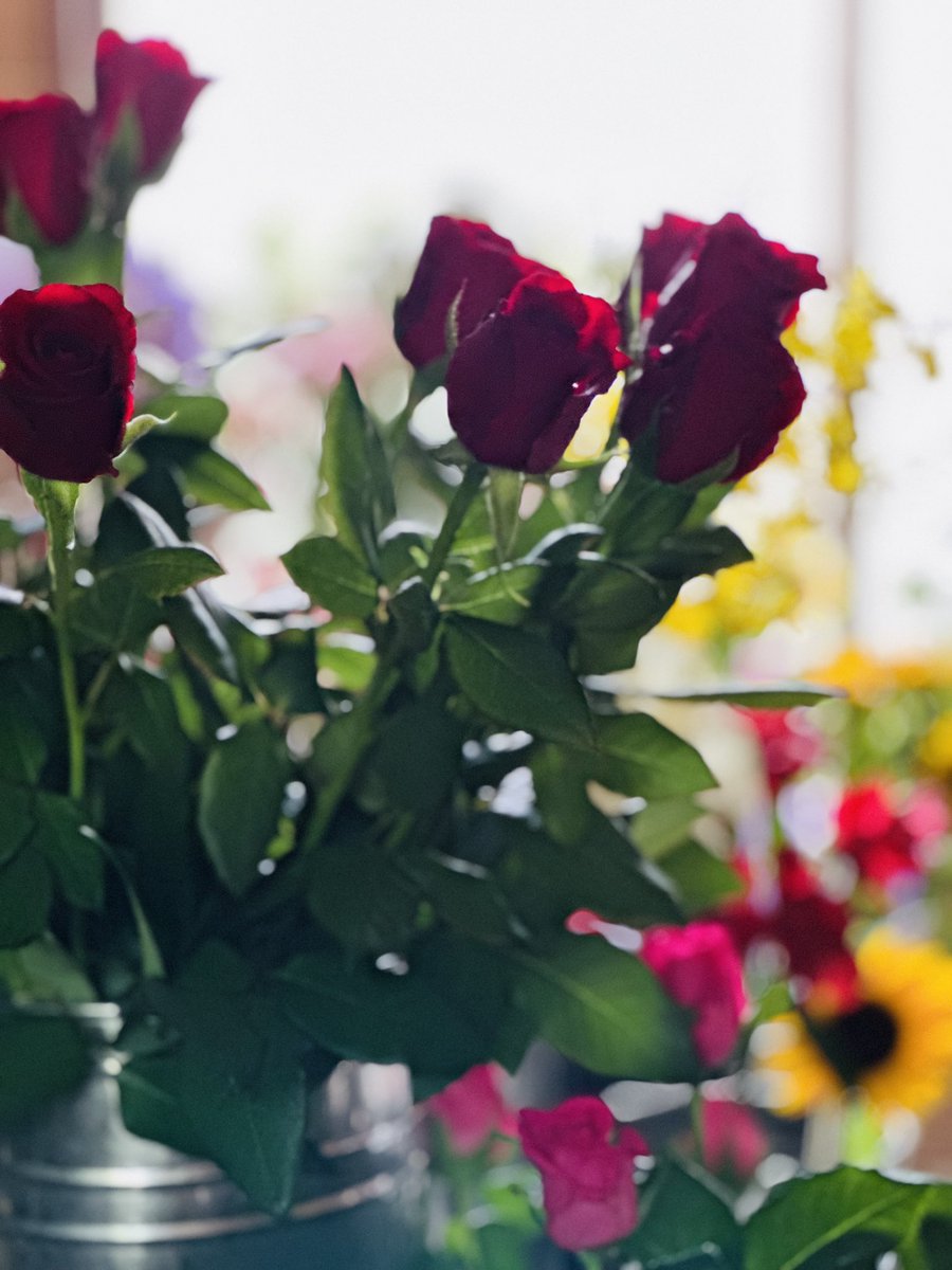 Flower 𓈒𓏲
#お花 #室蘭