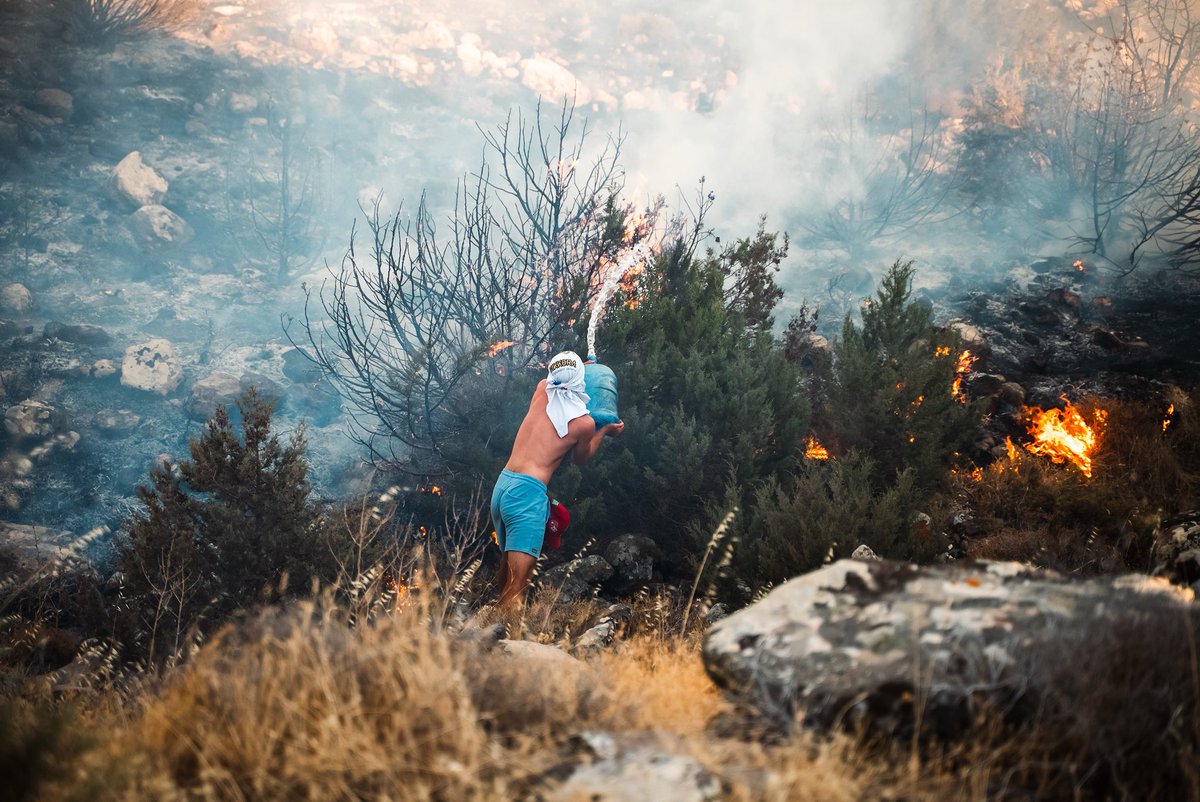 Bu gördüğünüz tarihi bir doğa yıkımı altında can çekişen, güçsüz takatsiz kalan, kolu kanadı kesilen, içi kemirilen ormanların son savunmasıdır.

En mahremine "orman manzaralı" siteler, oteller, tesisler, en genişinden duble otoyollar, maden ve enerji sahaları, köyleri yutan