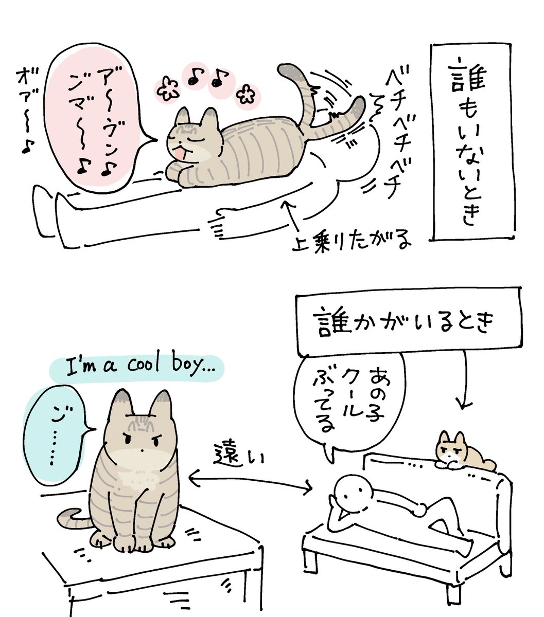 ずっとお腹の上に乗っていたい派なのに、他のねこがいるときはクールぶって視線を合わせることすらしない子もいる 