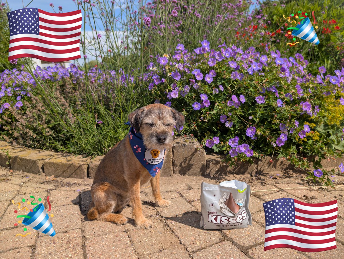 Happy #4thofJuly to all our pawsome US pals! Love you loads 🇺🇸🦅#BTPosse
<a href="/I_am_Quinn_BT/">I am Quinnie O.B.E. ❤️🐾👑</a> <a href="/Gracie05272013/">Gracie Rae, CBE</a> <a href="/Topa_the_BT/">Topa Topa</a> and allllll the rest🥰🥰