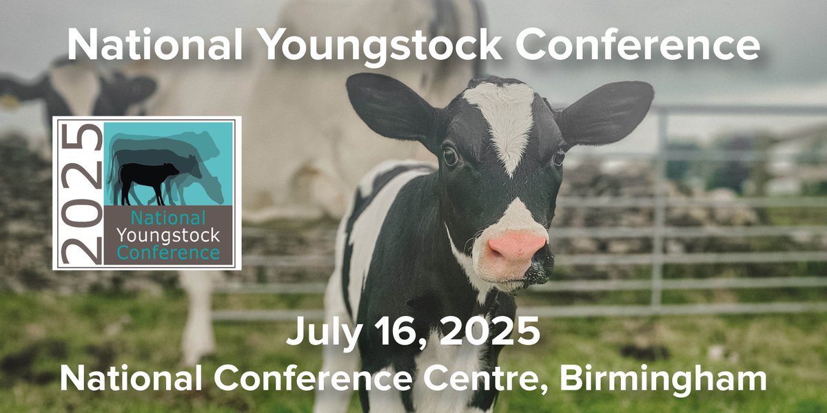 Rachael Porter (@cowmanagement) on Twitter photo There's still time to book your place! Tickets for this year's National Youngstock Conference in Birmingham, on Wednesday July 16, are selling fast. There's a 10% discount for readers. Quote CM@NYC25 at cowmanagement.co.uk/national-young… <a href="/WomenInDairy/">WomenInDairy</a> <a href="/PM_animalhealth/">Precision Microbes</a> <a href="/teemoreengltd/">Teemore Engineering</a> There's still time to book your place! Tickets for this year's National Youngstock Conference in Birmingham, on Wednesday July 16, are selling fast. There's a 10% discount for readers. Quote CM@NYC25 at cowmanagement.co.uk/national-young… <a href="/WomenInDairy/">WomenInDairy</a> <a href="/PM_animalhealth/">Precision Microbes</a> <a href="/teemoreengltd/">Teemore Engineering</a>