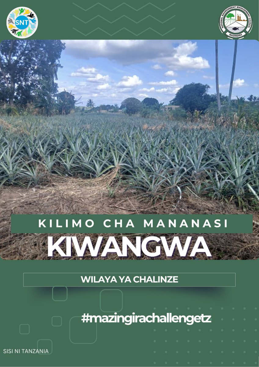 Limaharajr's tweet photo. Kilimo Cha mazao ya biashara maeneo mbalimbali Nchini Tanzania. Ni Sisi Sisi Tanzania. Kazi Na Utu, Tunasonga mbele π
#Nchiyangukwanza #SisiNiTanzani #Nchiyangufurahayangu #Matokeochanya #Katiba_sheria #MsLAC #DrSSH https://t.co/0Qp1erru4O