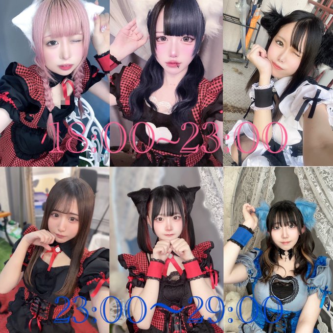 わんわんPRIMOのツイート