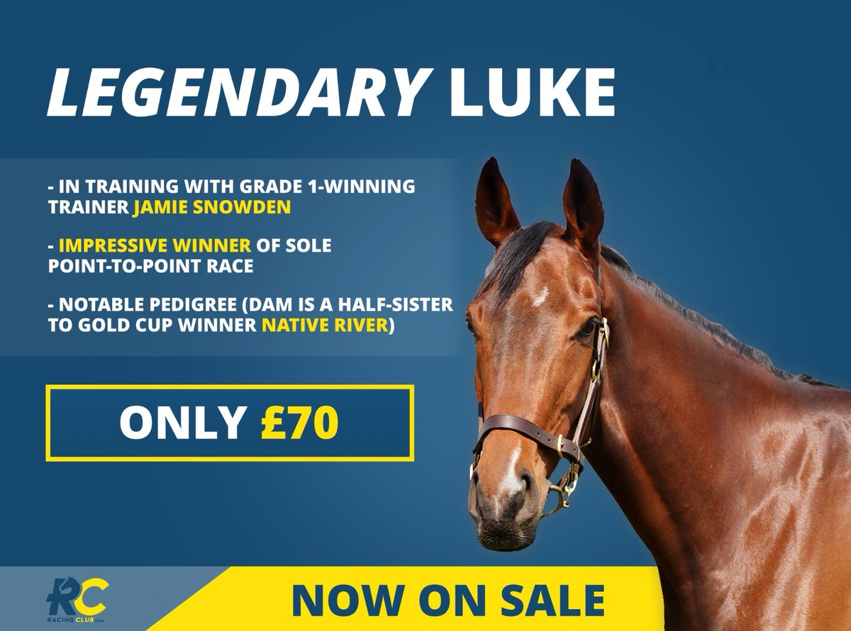 Racing Club (@racingclubvip) on Twitter photo 🫵🏻Purchase a share in Legendary Luke!
He won his point-to-point and clearly has bags of talent.
We are really excited about unleashing him on a racetrack as we expand our team with <a href="/jamiesnowden/">Jamie Snowden</a>
🔗 racingclub.com/buy-a-racehors… 🫵🏻Purchase a share in Legendary Luke!
He won his point-to-point and clearly has bags of talent.
We are really excited about unleashing him on a racetrack as we expand our team with <a href="/jamiesnowden/">Jamie Snowden</a>
🔗 racingclub.com/buy-a-racehors…
