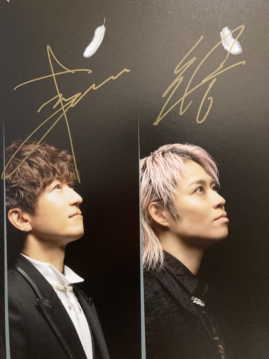 Hibiki - Search / X