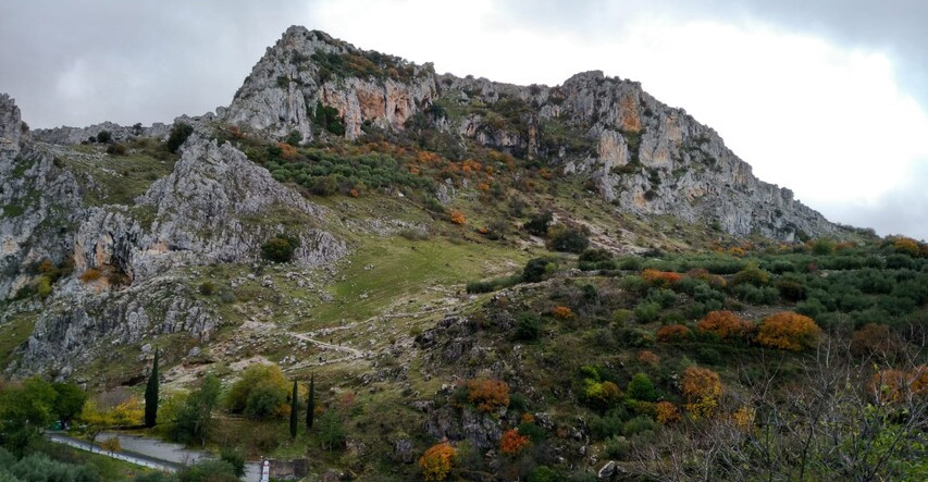 REDIAM (@rediam_oficial) on Twitter photo ¿Aún no has decidido que hacer en tus vacaciones🚶♀️? Consulta la colección de senderos geológicos 🗺 en #espaciosnaturales protegidos de #Andalucía ➡ lajunta.es/423bd
#geoturismo
<a href="/MedioAmbAND/">Consejería de Sostenibilidad y Medio Ambiente</a> ¿Aún no has decidido que hacer en tus vacaciones🚶♀️? Consulta la colección de senderos geológicos 🗺 en #espaciosnaturales protegidos de #Andalucía ➡ lajunta.es/423bd
#geoturismo
<a href="/MedioAmbAND/">Consejería de Sostenibilidad y Medio Ambiente</a>