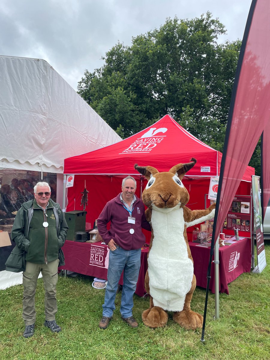 Saving Scotland's Red Squirrels (@scotsquirrels) on Twitter photo We’re all set up at <a href="/ScotGameFair/">GWCTScottishGameFair</a> today! Drop by and see us to chat about all things squirrel! We’re all set up at <a href="/ScotGameFair/">GWCTScottishGameFair</a> today! Drop by and see us to chat about all things squirrel!