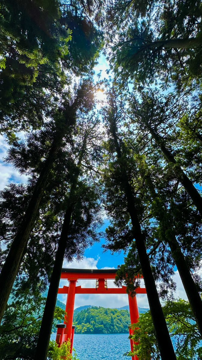 neoncvg's tweet photo. ⛩️

#箱根 #キリトリセカイ #photo
#東京カメラ部 #photography 
#写真好きな人と繋がりたい
#カメラ好きな人と繋がりたい
#ファインダー越しの私の世界 https://t.co/NFfyqhU9A1