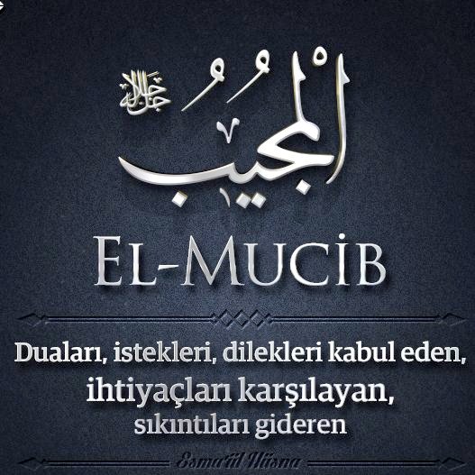 “Dua ettiğinizde çok isteyin çünkü vereceği hiçbir şey Allah'a ağır gelmez.”

(Hz. Muhammed s.a.v)