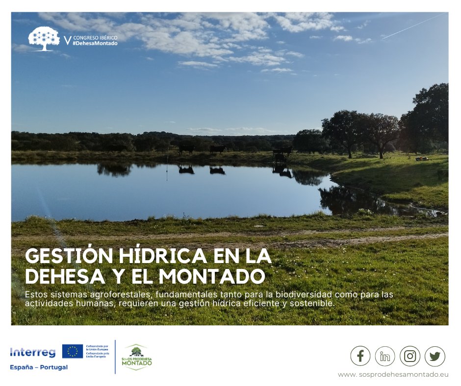 sosprodehesa's tweet image. 🌿 Gestión Hídrica Sostenible en la Dehesa y el Montado
💧 Retención de Agua en el Suelo
🚰 Aljibes Inteligentes
🔬 Mejora de la Calidad del Agua
📰 Lee la noticia completa: sosprodehesamontado.eu/?p=2442
📎 Más info: sosprodehesamontado.eu