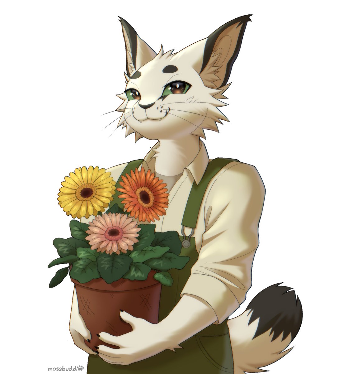 Mittlerweile genieße ich es ab und an mittags ein Stündchen zu schlafen.

Vielleicht sollte ich über Rente nachdenken.