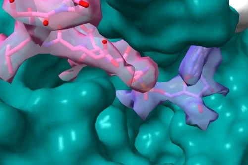 newswise (@newswise) on Twitter photo Rockefeller Team Finds Flawed Data in Recent Study Relevant to Coronavirus Antiviral Development
newswise.com/articles/rockeā¦
<a href="/RockefellerUniv/">Rockefeller University</a>
#COVID19 #antiviral #drugdevelopment #Rockefeller Rockefeller Team Finds Flawed Data in Recent Study Relevant to Coronavirus Antiviral Development
newswise.com/articles/rockeā¦
<a href="/RockefellerUniv/">Rockefeller University</a>
#COVID19 #antiviral #drugdevelopment #Rockefeller