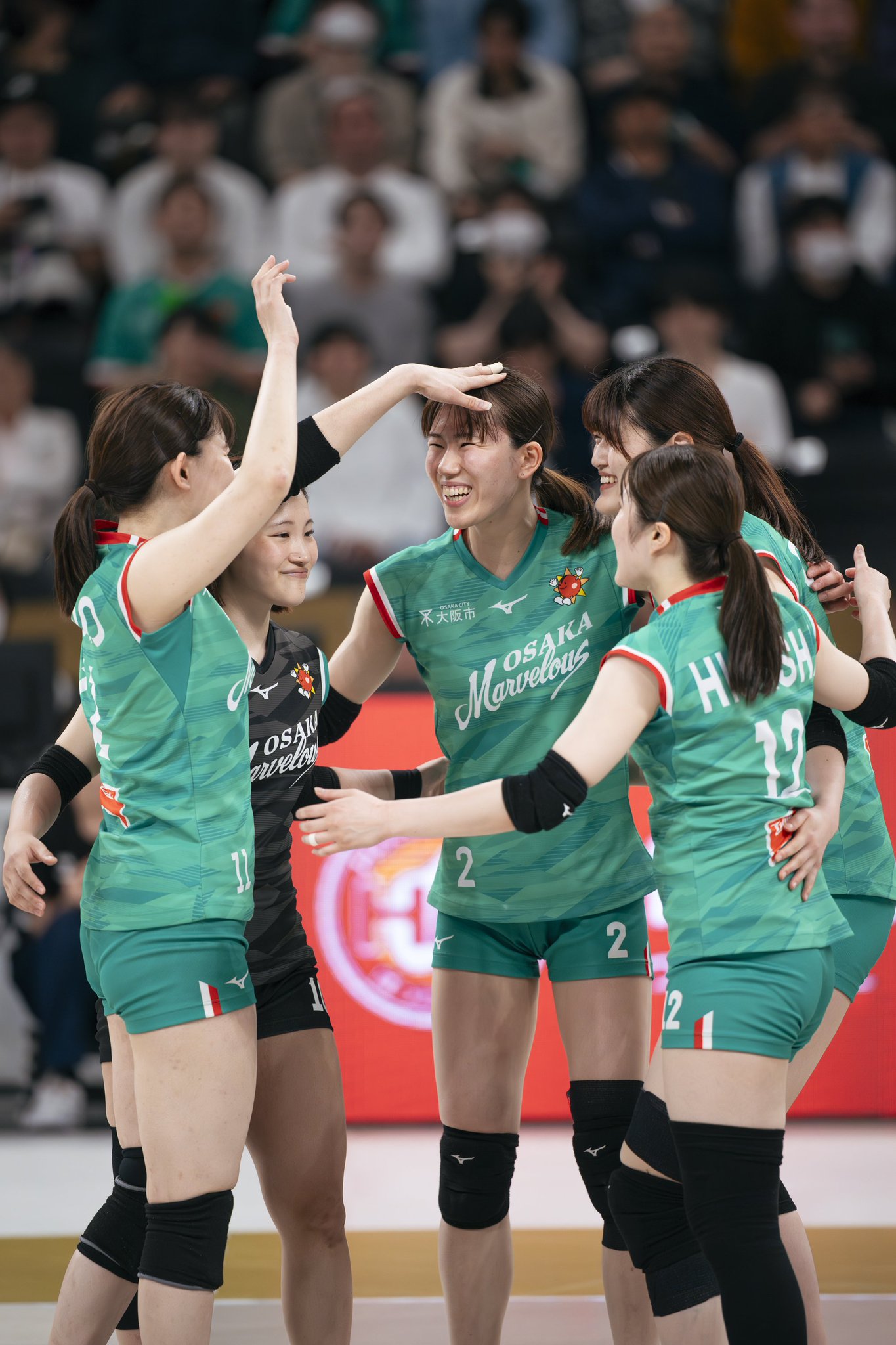 バレーボール 有明アリーナ GbSf-pQagAAGarJ.jpg