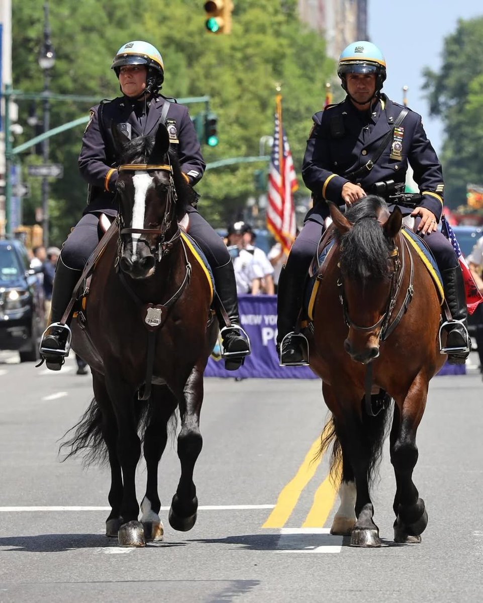 Gëzuar 4 Korrikun, Ditën e Pavarësisë së Shteteve të Bashkuara të Amerikës 🇺🇸, me Illyrian Society 👮‍♂️👮‍♀️ që shërbejn plot përkushtim çdo ditë duke kontribuar e duke na nderuar në mes kombeve të tjera në Policinë e New York-ut.

Mirënjohje🙏🏼 për gjithë kontributin!