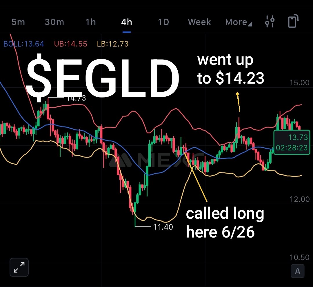 Cryptic Owl tweet media