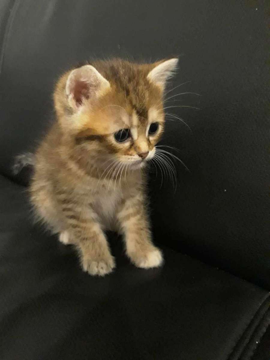 Marianne 🇰🇭🇫🇷 tweet media