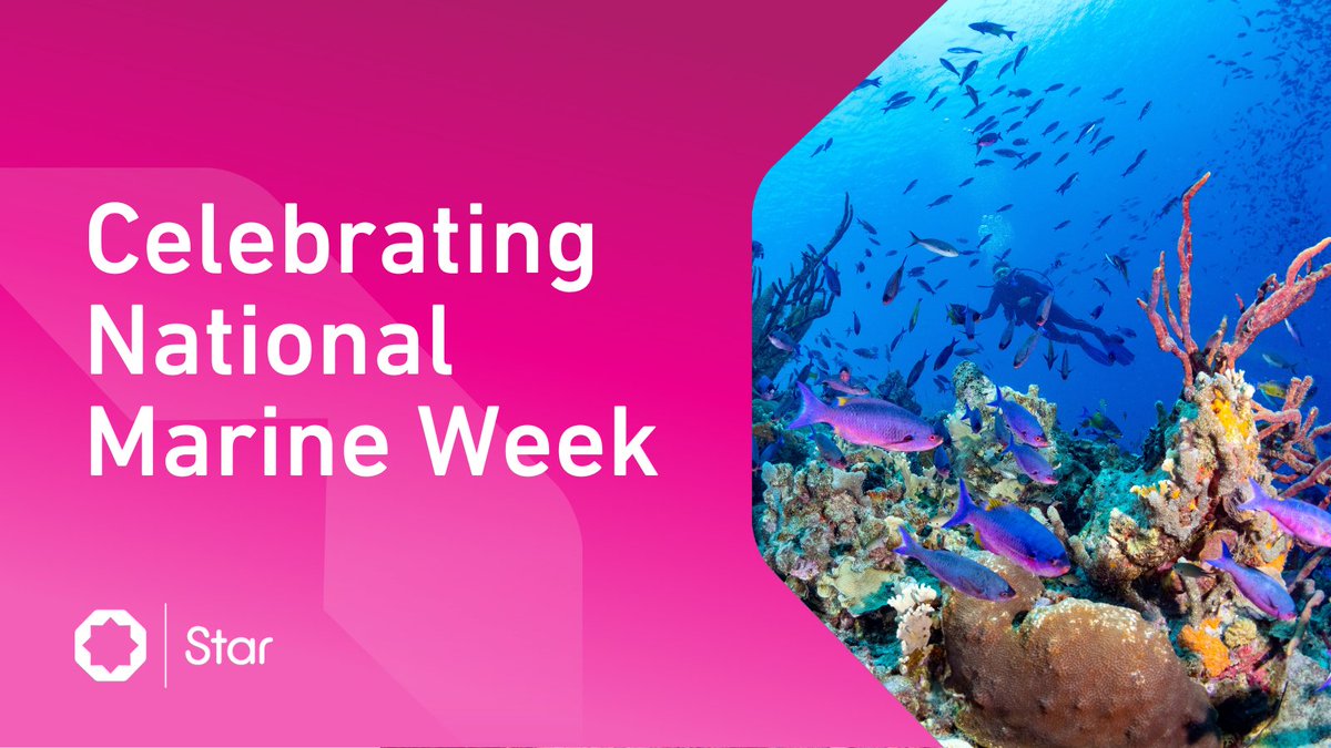 StarAcademies's tweet image. #NationalMarineWeek highlights how our seas enrich our lives, whether through industry, hobbies, or by simply finding solace by the shore.

Discover an event near you: wildlifetrusts.org/national-marin…

#SecretsOfOurSeabeds @WildlifeTrusts