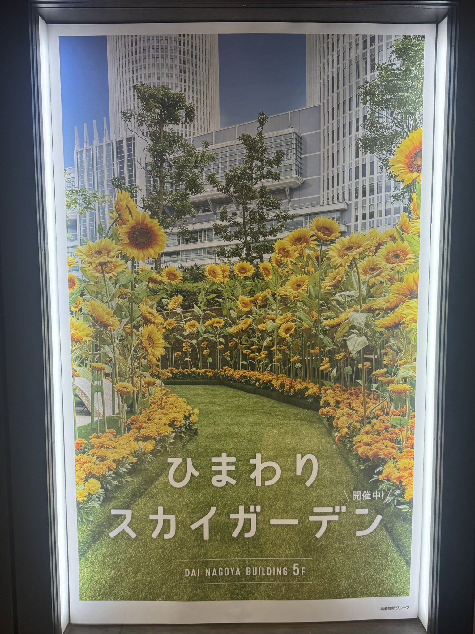 元気いっぱいのひまわりプリント 素材感のある2級遮光生地【 v