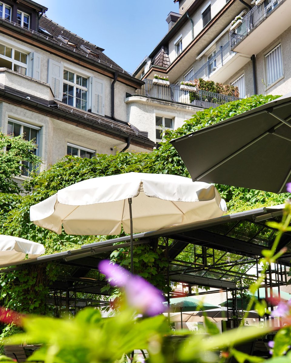 Verstecktes Sommerparadies mitten in Zürich

Unser Sommergarten zeigt sich von seiner schönsten Seite. Umgeben von historischen Fassaden, üppigem Grün und angenehmem Schatten lädt er zum Verweilen und Geniessen ein.

Ob zum Lunch, Apéro oder Dinner – so fühlt sich Sommer an!