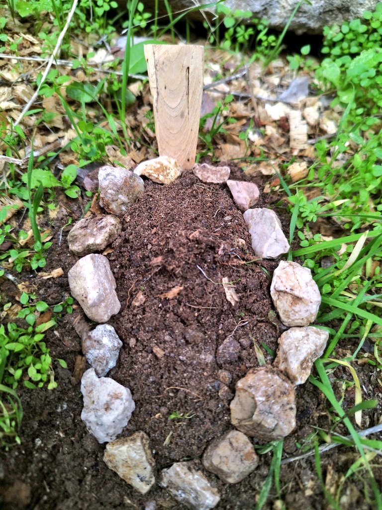 Birlikte nice suskun saatler geçirdik...
Hoşça kal minik dostum🌊