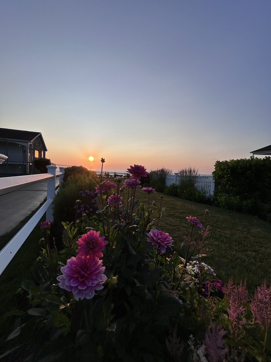 Tony Moy (@tjm88) on Twitter photo <a href="/Met_CindyFitz/">Cindy Fitzgibbon</a> Happy 4th from one of my favorite places, Ogunquit, ME! Beautiful sunrise this morning, great day for a walk along Marginal Way. <a href="/Met_CindyFitz/">Cindy Fitzgibbon</a> Happy 4th from one of my favorite places, Ogunquit, ME! Beautiful sunrise this morning, great day for a walk along Marginal Way.
