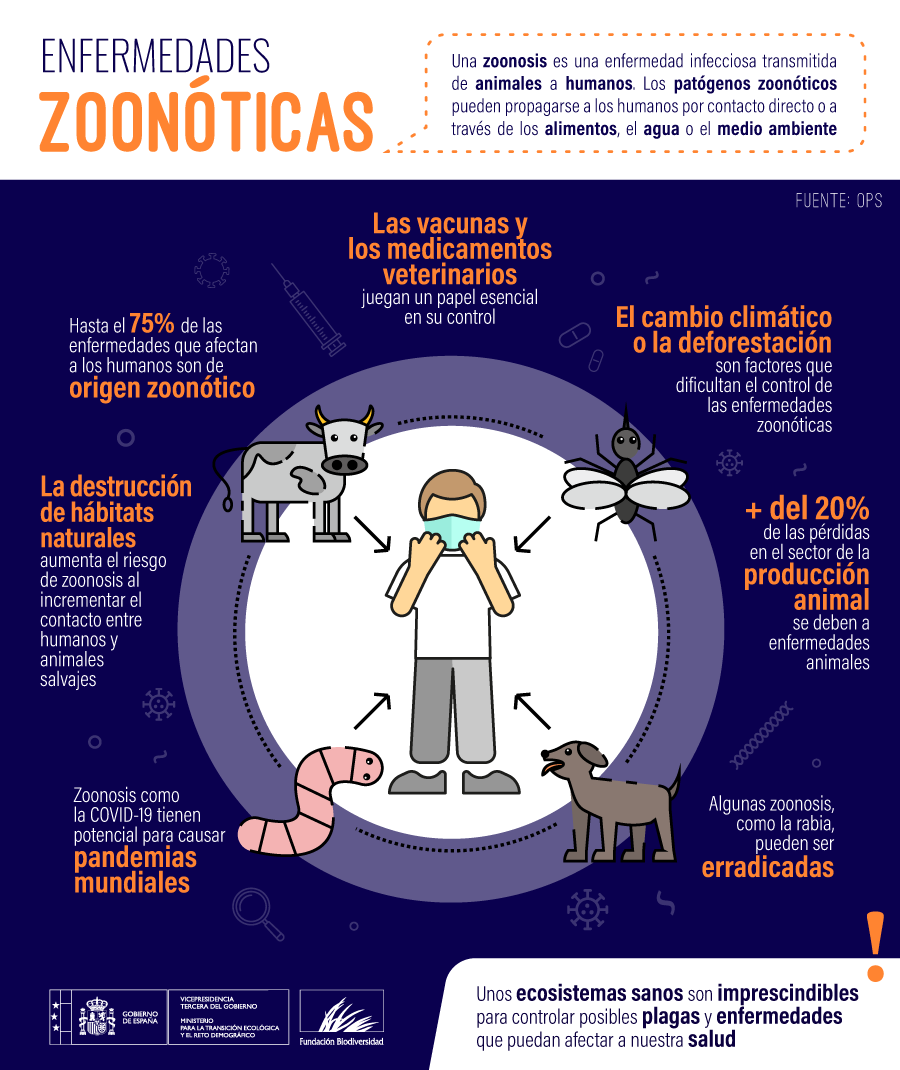Las enfermedades zoonóticas nos recuerdan la estrecha relación que existe entre la salud humana, animal y ambiental 🌿🐾🌍

Proteger los ecosistemas y mantener el equilibrio natural es clave para evitar futuras crisis sanitarias.

#DíaMundialDeLaZoonosis