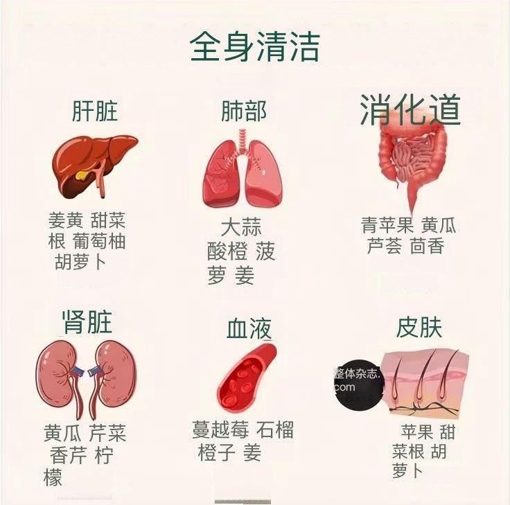 🚨全身清洁

- 肝
- 姜黄
- 甜菜根
- 柚子
- 胡萝卜

- 肺
- 蒜
- 酸橙
- 菠萝
- 姜

- 消化道
- 青苹果
- 黄瓜
- 芦荟
- 茴香

- 肾脏
- 黄瓜
- 芹菜
- 欧芹
- 柠檬

- 血
- 蔓越莓
- 石榴
- 橙子
- 姜

- 皮肤
- 苹果
- 甜菜根
- 胡萝卜

请转发🙏