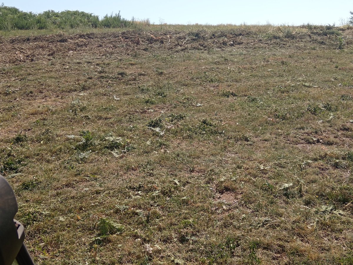 No és el tractor ni l'eina per fer això, però fem feina..
Després vindrem amb a les llaures i engrandirem sembrat.
No haurem arreglat el món, però ja haurem fet molt més que els "experts" de la gestió del territori. 
Pagesia activa o barbàrie!
#SomLaResistència
#FeinaFeina