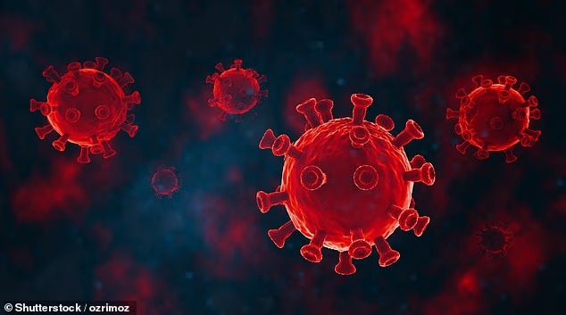 The image depicts a close-up view of several red, spiky virus particles against a dark background, representing the Stratus variant of COVID-19. The post text describes Stratus as a mix of two Covid strains, which has rapidly increased in prevalence in England from 10% in May to 40% by mid-June. It highlights the variant's ability to evade immunity due to its spike mutations, and mentions that the WHO has classified it as a "variant under monitoring" after it reached 22% of global cases. The image visually emphasizes the dangerous and rapidly spreading nature of this new variant.