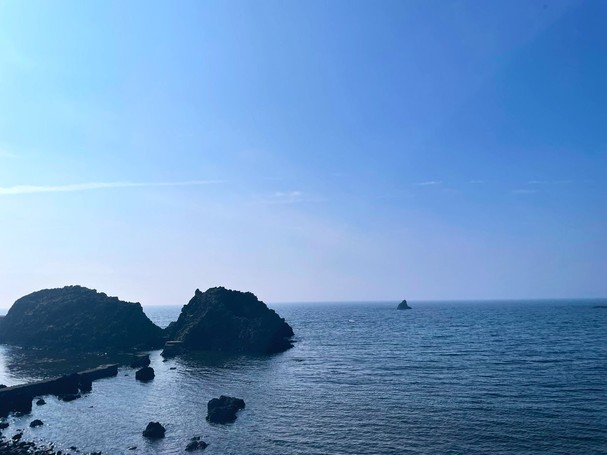 やっぱり、海の近くにある水族館はめっちゃいいやん