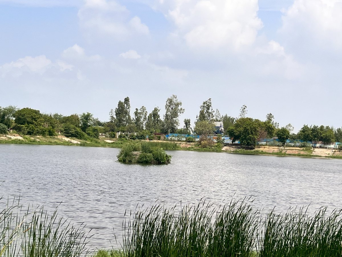 #Trees for Tomorrow: Community #Plantation at #Amrit Sarovar, Noida
