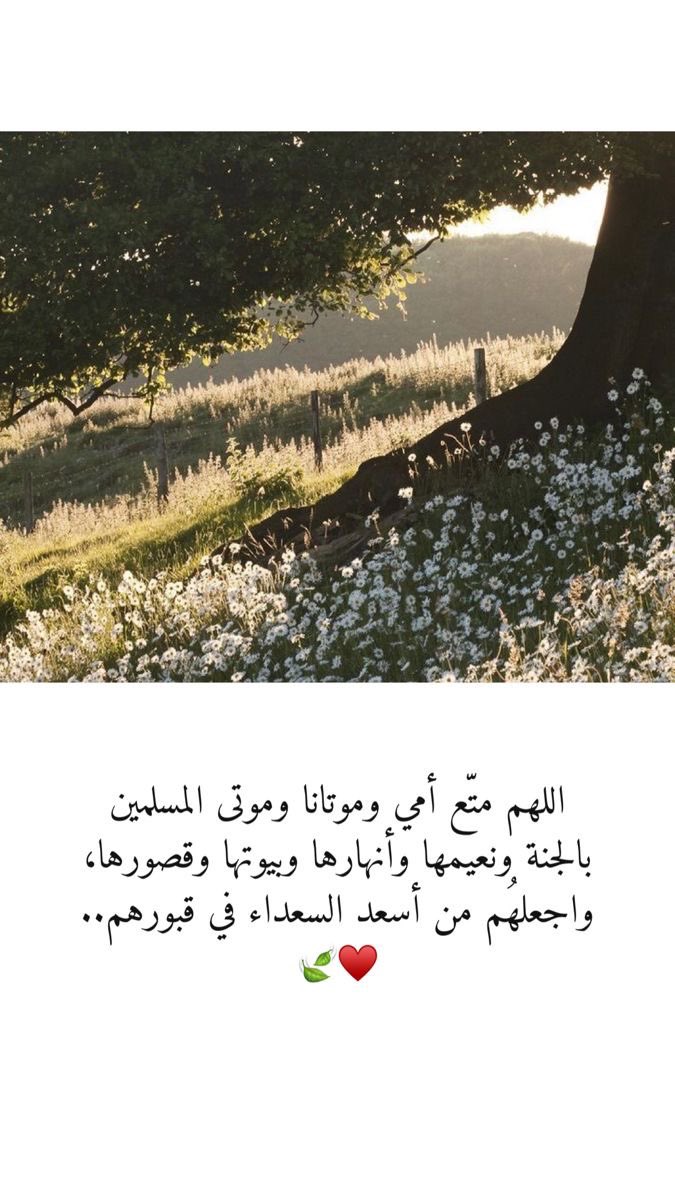 Roses_wish's tweet photo. #امواتكم_بالدعاء_لهم_يفرحون
رحم الله أمي رحم الله قلباً لو فنت الدنيا ما أتت بمثله .. اللهم ارحم أمي وجميع موتانا وموتى المسلمين https://t.co/3bEvEmcU5v