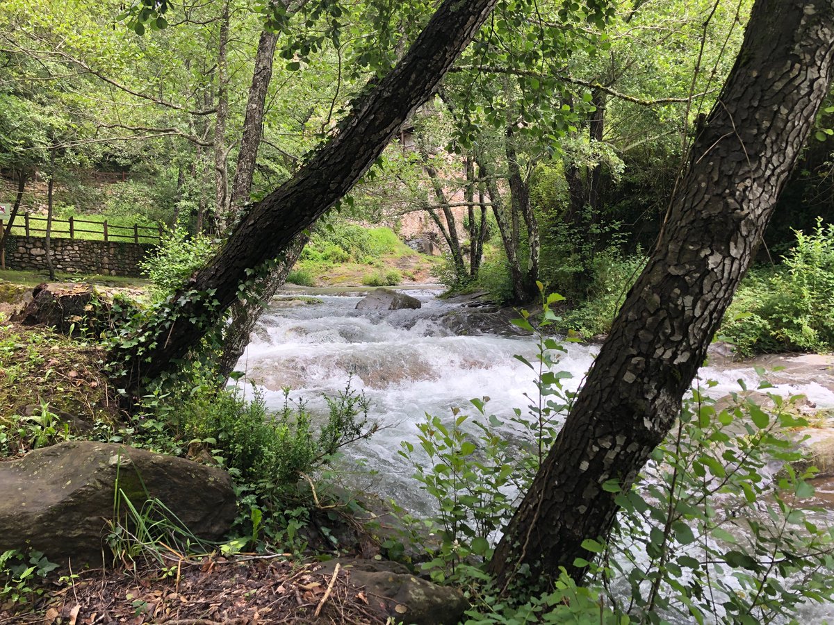 CanJeroni's tweet photo. Gaudint de la natura, bona companyia i converses que connecten. #amics #beget #camprodon #valldecamprodon #visitcamprodon #altagarrotxa #garrotxa #ripolles #girona #descobreixcatalunya #oix #rocabruna #besalu #ripoll #turismerural #turismeruralgirona #turismegarrotxa https://t.co/3TzSgGs6lH