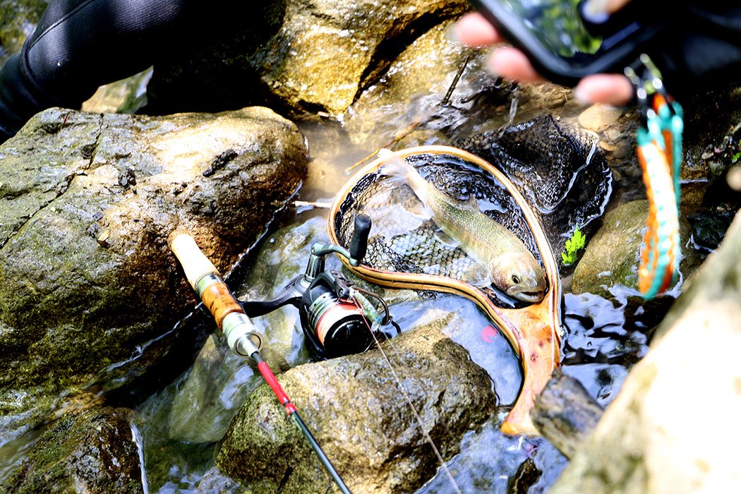 Huerco_jp's tweet photo. アウトドアショップ店員のもちこ。さんと、
夏の源流岩魚⛰️🎣ロッドはHuerco GT406-5S で💫💫
・
Good sized char in her hands with the Huerco GT406-5S.✨✨
・
#travelrod
#troutfishing 
#outdoor 
#streamclimbing 
#kinoe
#huercojp https://t.co/ZB0S0YwG6L