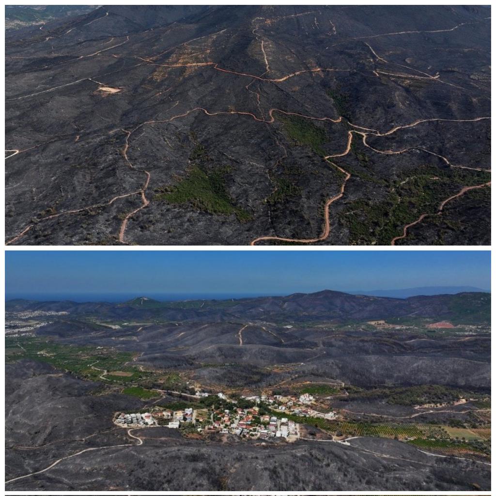 İzmir Seferihisar'da yanacak bir şey kalmadığı için yangın sona erdi. Emeği geçen herkesin (yakan ve söndürmeyen !!) allah belasını versin. #izmiryanıyor #urlayanıyor #sarnıcyanıyor