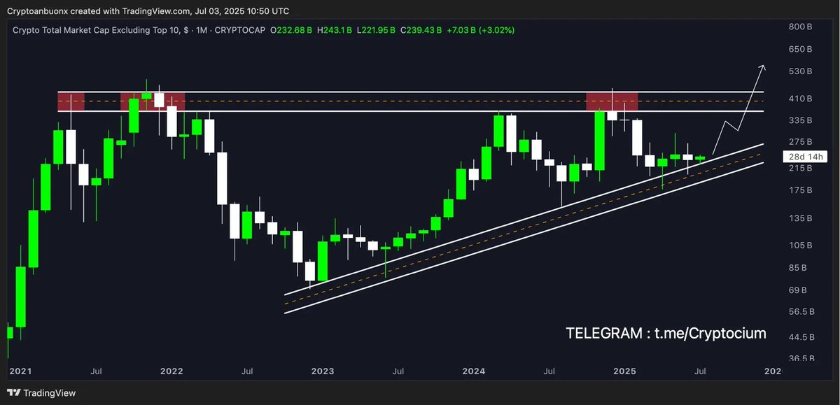 Cryptocium_id's tweet photo. $OTHERS → Altcoins' Bottom 

Pada timeframe besar, kita dapat melihat perjalanan sepenuhnya dari altcoins. 

Ketika banyak orang bilang altcoins tidak akan naik lagi, faktanya, chart ini membuktikan hal itu salah. Sebagian besar orang frustasi karena mereka masuk ke altcoins yang salah. 

Sekarang, di timeframe monthly, OTHERS sedang berada di support kuatnya, yang menandakan bahwa altcoins pada umumnya sudah mendekati atau bahkan sudah mencapai bottom mereka. 

Sehingga, gunakan analisa ini untuk masuk ke altcoins yang memiliki project yang jelas, di harga yang relatif rendah.